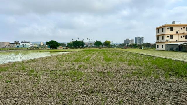 新竹竹北農地-4