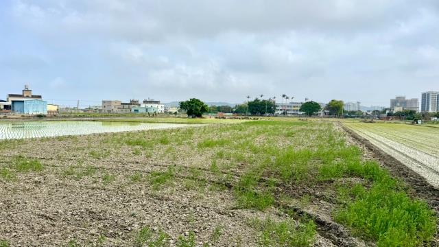 新竹竹北農地-5