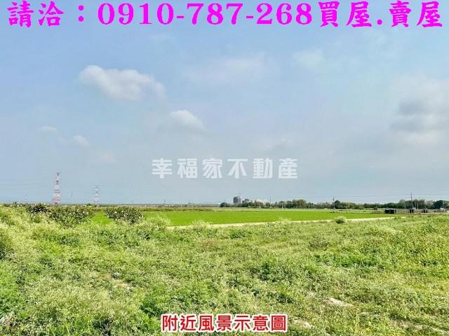 台南善化農地-13
