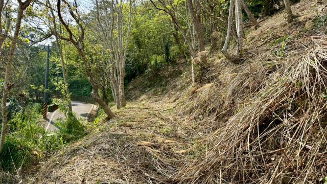 新竹北埔農地-13