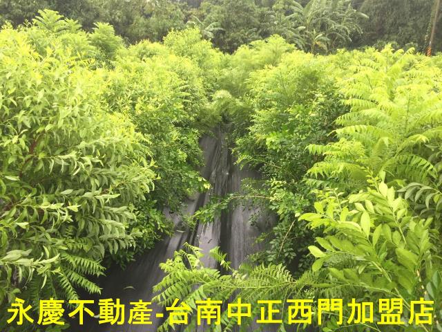 台南玉井農地-13