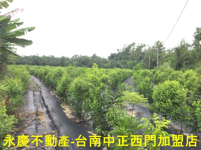 台南玉井農地-9