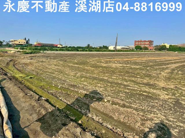 芳苑農地-13