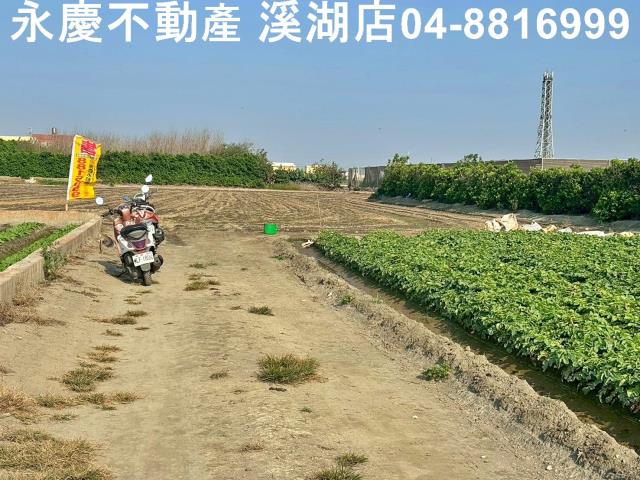 芳苑農地-5