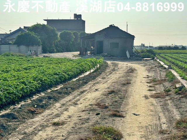 芳苑農地-6