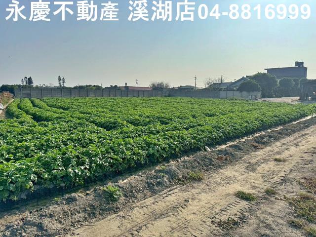 芳苑農地-7
