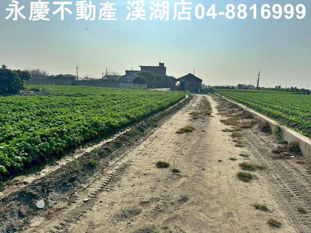 芳苑農地-9