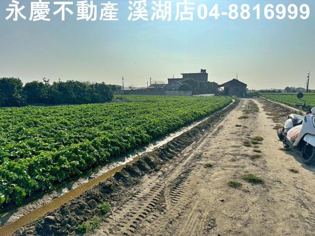 芳苑農地-10