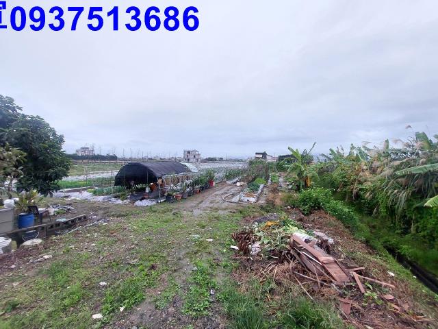 宜蘭壯圍農地-1