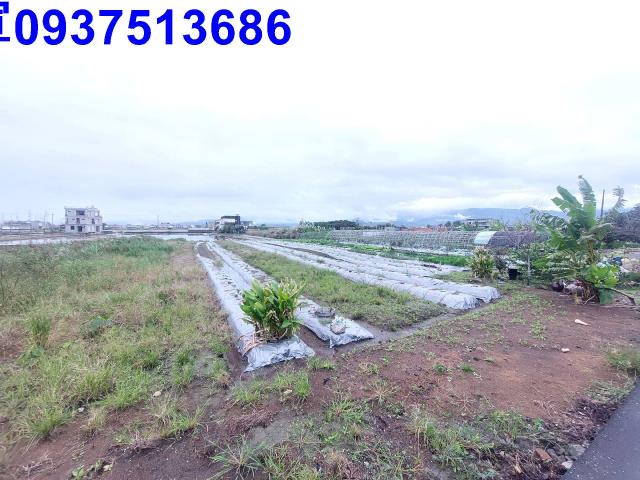 宜蘭壯圍農地-2