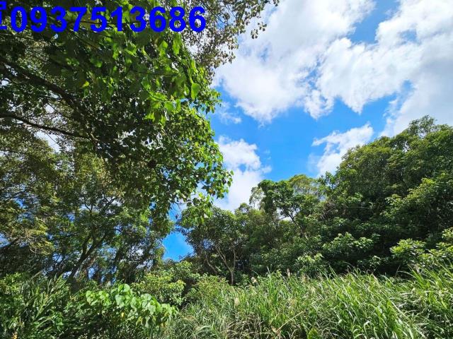 宜蘭頭城山坡地-14