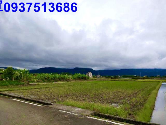 宜蘭三星農地-2