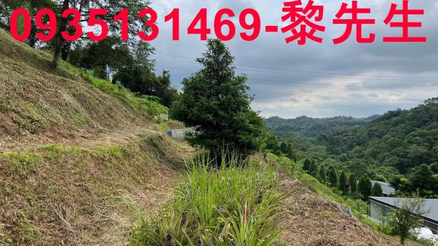 新竹北埔農地-6