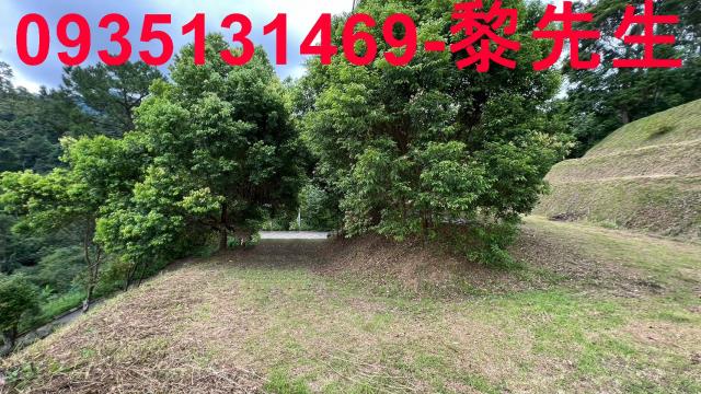 新竹北埔農地-14