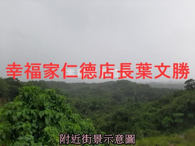 台南大內農地-1