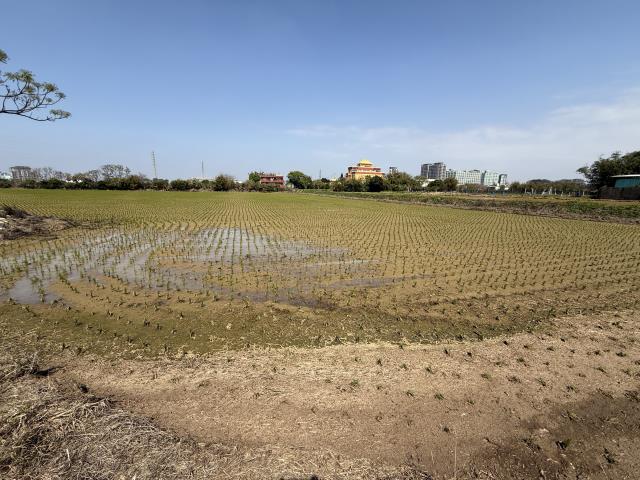 桃園新屋農地-1