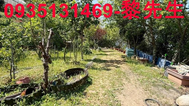 新竹關西農地-10