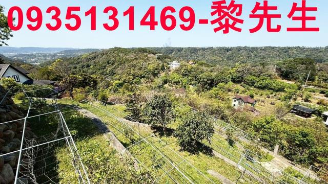 新竹關西農地-1