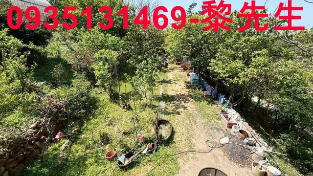 新竹關西農地-6