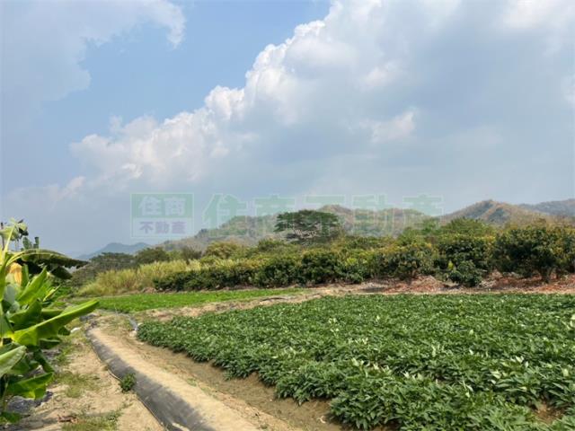 高雄美濃農地-11