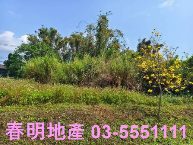 新竹橫山農地-6