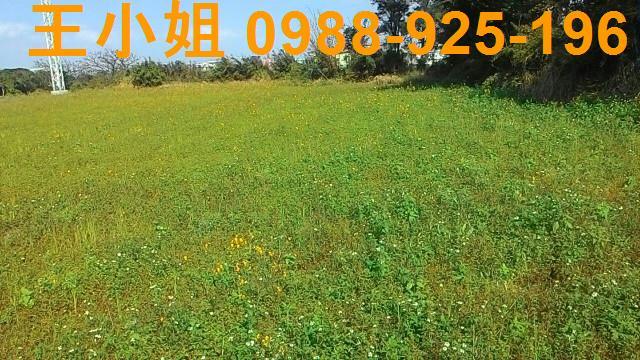 桃園新屋農地-2