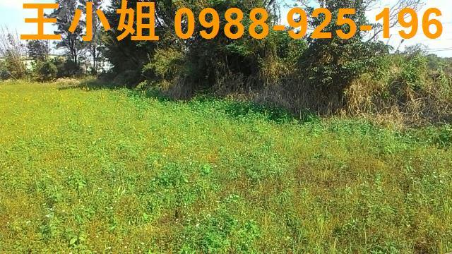 桃園新屋農地-3