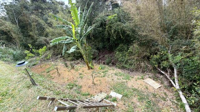 新竹關西農地-11