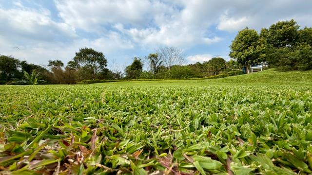 新竹關西農地-2