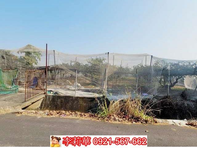 高雄燕巢農地-3