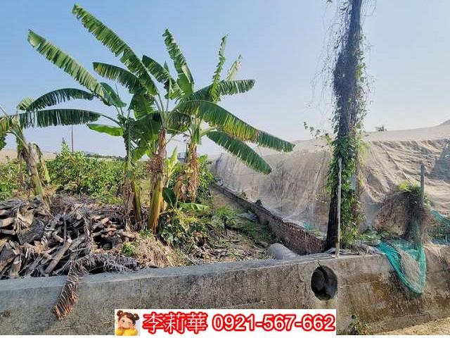 高雄燕巢農地-7