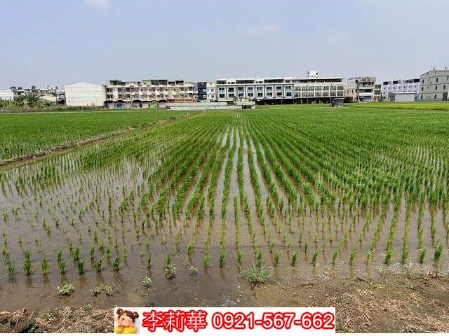 高雄林園農地-5