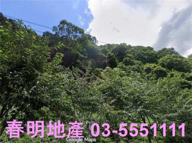 新竹尖石林地-3