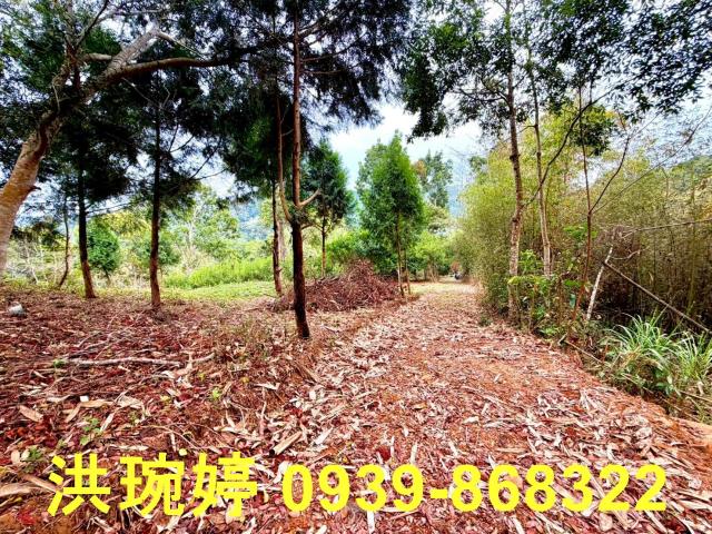 南投國姓農地-1