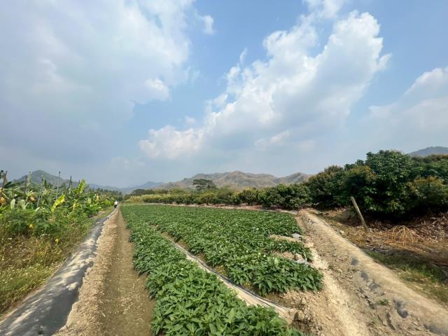 高雄美濃農地-13