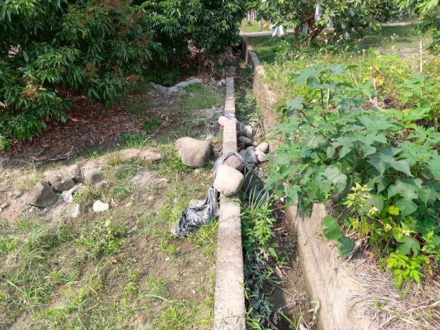 高雄美濃農地-2