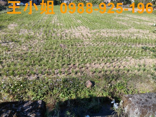 桃園大溪農地-6