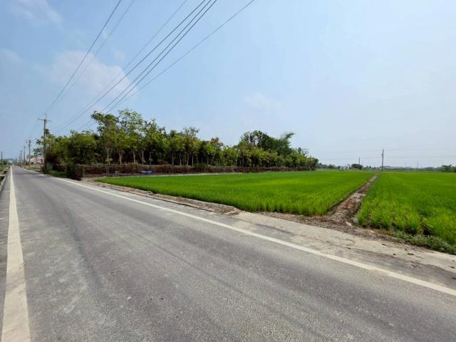 台南六甲農地-4