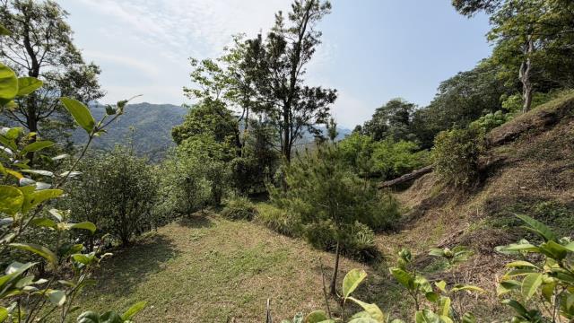 新竹北埔農地-13