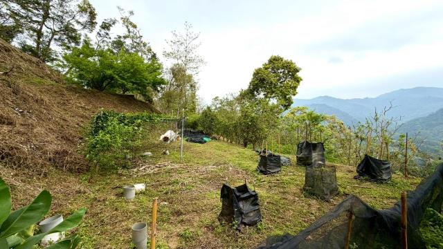 新竹北埔農地-11