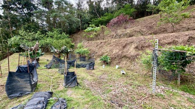 新竹北埔農地-4