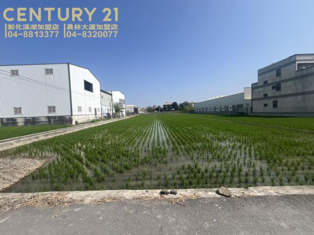 彰化埔鹽農地-4