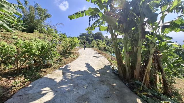 台中東勢農地-9