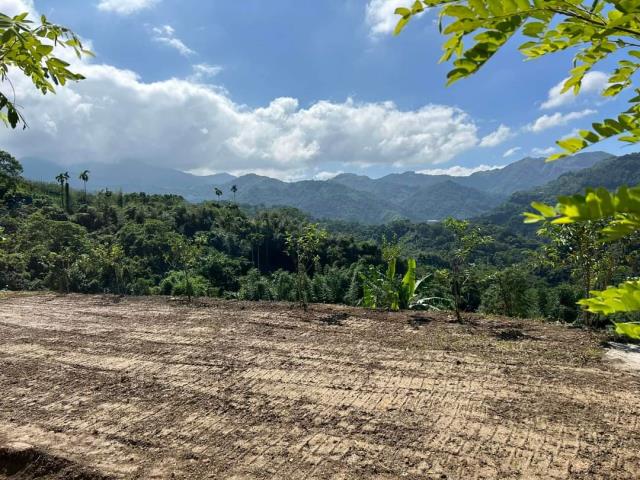 台中東勢農地-1