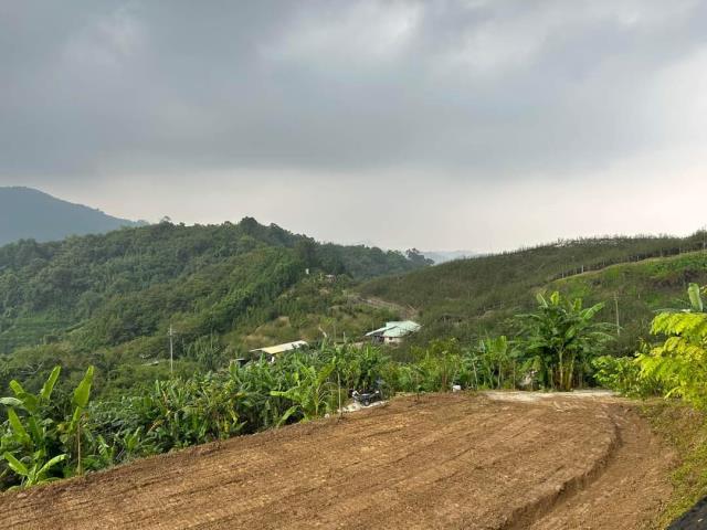 台中東勢農地-2