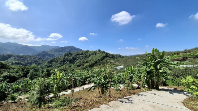 台中東勢農地-4