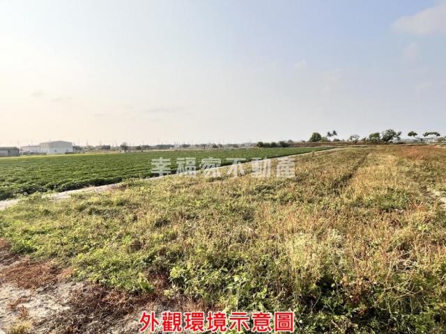 台南新化農地-8