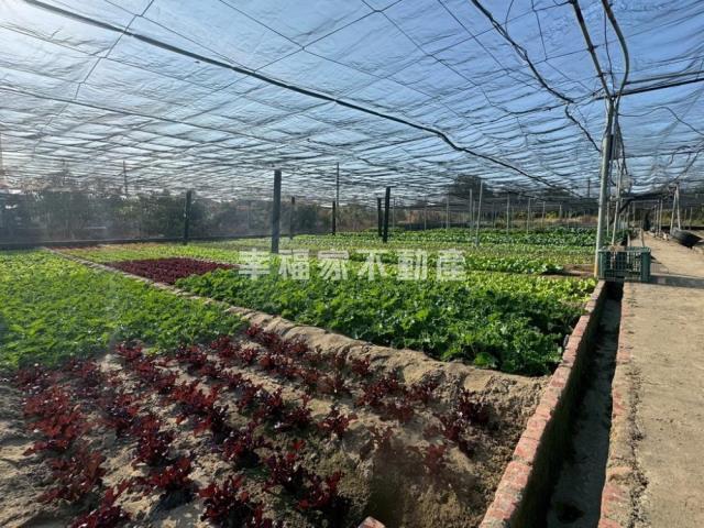 台南南區農地-3