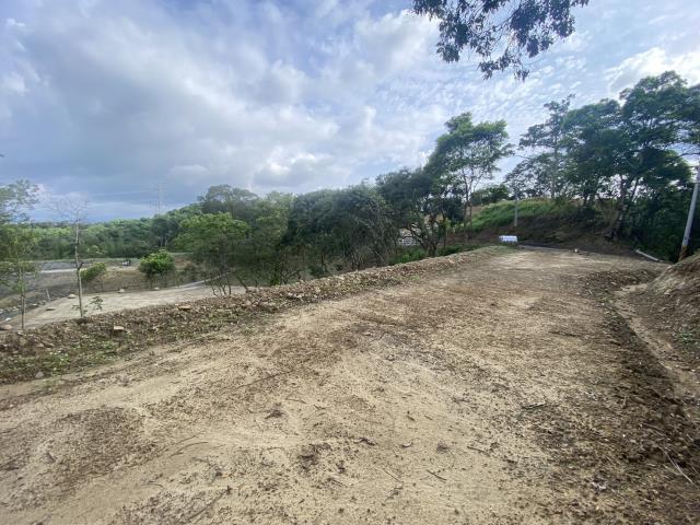 南投中寮農地-2