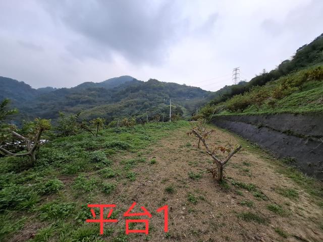 東勢農地-9